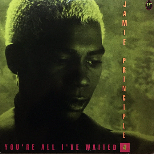 JAMIE PRINCIPLE // YOU'RE ALL I'VE WAITED (4VER)