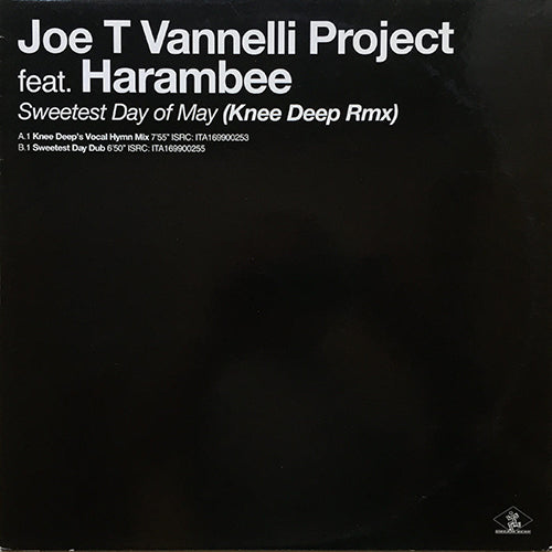 JOE T. VANNELLI PROJECT feat. HARAMBEE // SWEETEST DAY OF MAY (KNEE DEEP REMIX) (2VER)