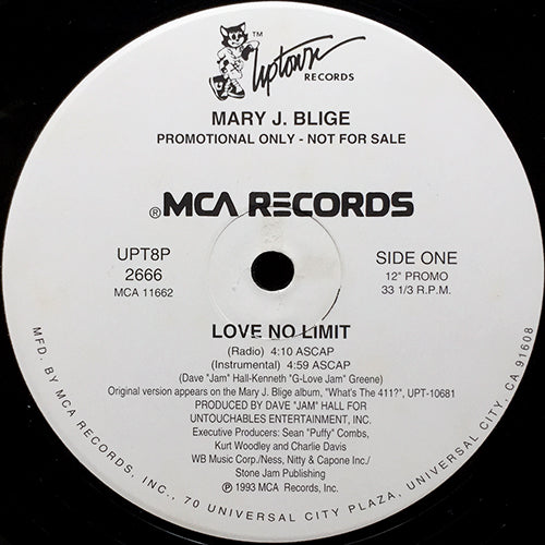 MARY J. BLIGE // LOVE NO LIMIT (4VER)