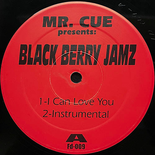 MR. CUE presents BLACK BERRY JAMZ // I CAN LOVE YOU (2VER) / CAN YOU FEEL ME / GET IT GET IT