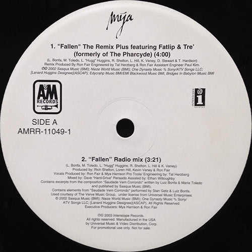 MYA feat. FAT LIP & TRE of PHARCYDE // FALLEN (REMIX) (4VER)