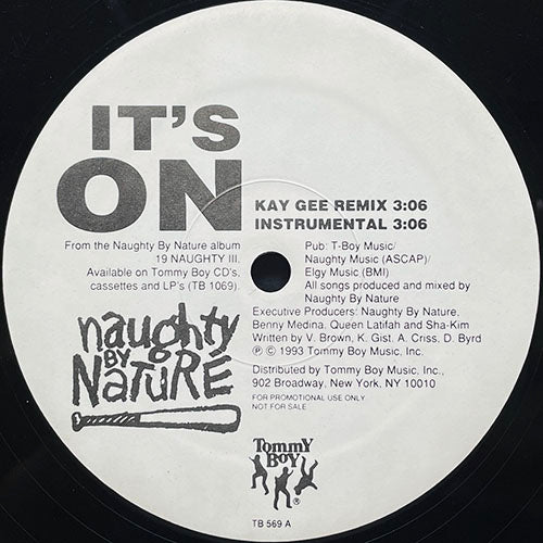NAUGHTY BY NATURE // IT'S ON (3VER) / HIP HOP HOORAY (PETE ROCK REMIX)