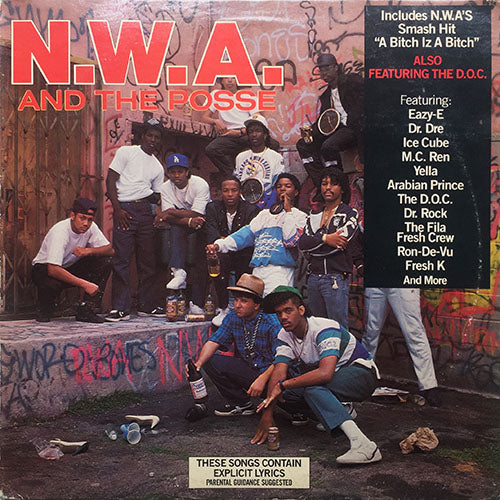 N.W.A. AND THE POSSE (EAZY-E / FILA FRESH CREW) // N.W.A. AND THE POSSE (LP) inc. BOYZ-N-THE-HOOD / 8 BALL / DUNK THE FUNK / A BITCH IZ A BITCH / DRINK IT UP / PANIC ZONE / L.A. IS THE PLACE / DOPE MAN / TUFFEST MAN ALIVE / FAT GIRL etc