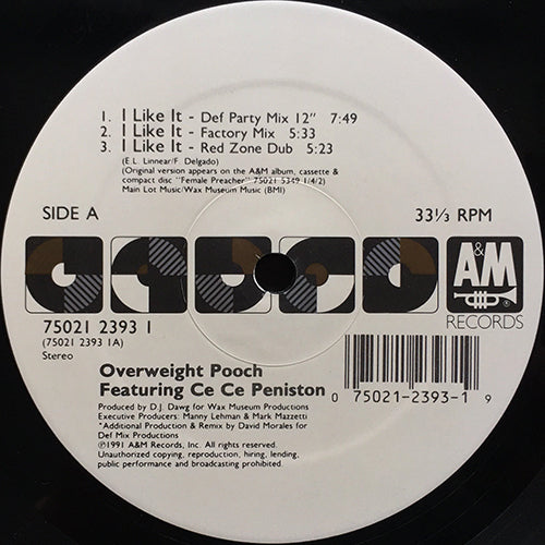 OVERWEIGHT POOCH feat. CE CE PENISTON // I LIKE IT (7VER)