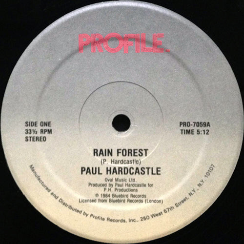 PAUL HARDCASTLE // RAIN FOREST (5:12) / SOUND CHASER (5:50)