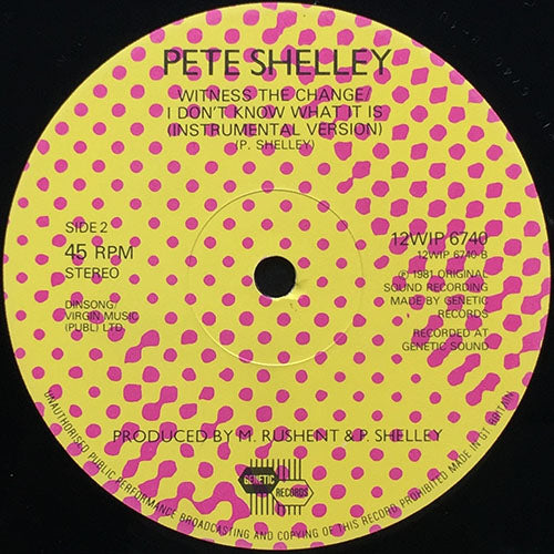 PETE SHELLEY // I DON'T KNOW WHAT IT IS (REMIX) / WITNESS THE CHANGE/ I DON'T KNOW WHAT IT IS
