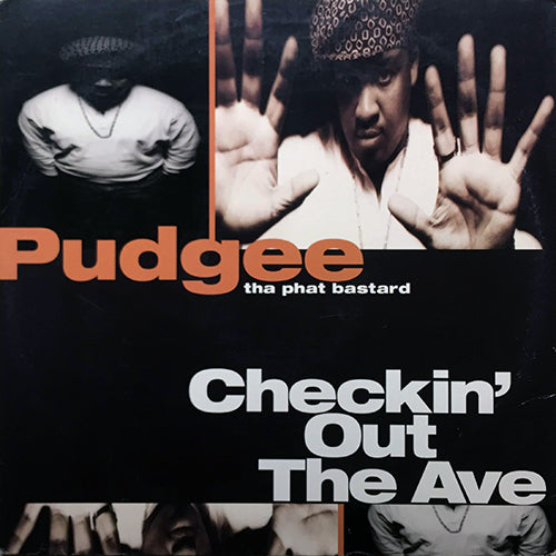 PUDGEE THA PHAT BASTARD // CHECKIN' OUT THE AVE (6VER)