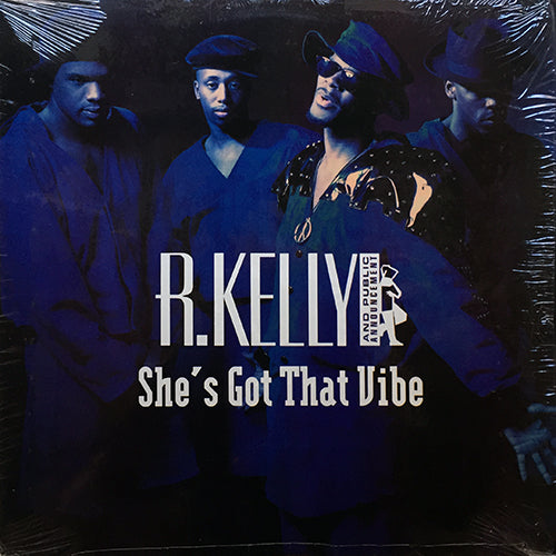 R. KELLY & PUBLIC ANNOUNCEMENT // SHE'S GOT THAT VIBE (4VER)
