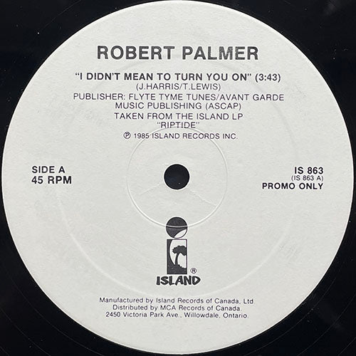 ROBERT PALMER / DURELL COLEMAN // I DIDN'T MEAN TO TURN YOU ON (3:43) / TAKE ME BACK TO MY LOVE IN CHINA (4:25)