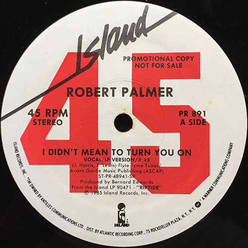 ROBERT PALMER // I DIDN'T MEAN TO TURN YOU ON (LP VERSION) (3:43)