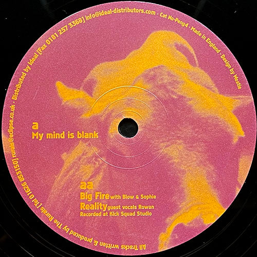RURALS // MY MIND IS BLANK / BIG FIRE / REALITY