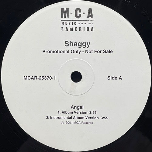 SHAGGY feat. RAYVON // ANGEL (REMIX & ALBUM VERSION) (5VER)