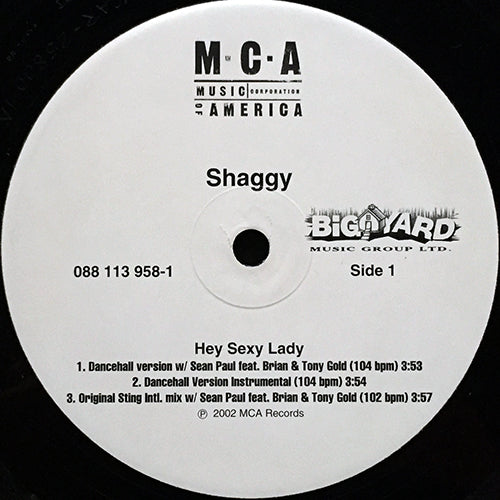 SHAGGY // HEY SEXY LADY (REMIX & ORIGINAL) (7VER)