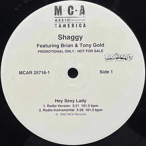 SHAGGY feat. BRIAN & TONY GOLD // HEY SEXY LADY (4VER)