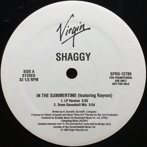 SHAGGY feat. RAYVON // IN THE SUMMERTIME (4VER)