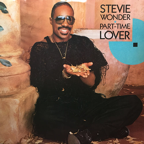 STEVIE WONDER // PART TIME LOVER (VOCAL/INST)