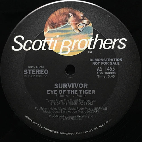 SURVIVOR // EYE OF THE TIGER (3:45)
