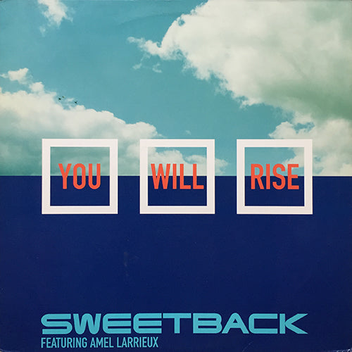 SWEETBACK feat. AMEL LARRIEUX // YOU WILL RISE (5VER)