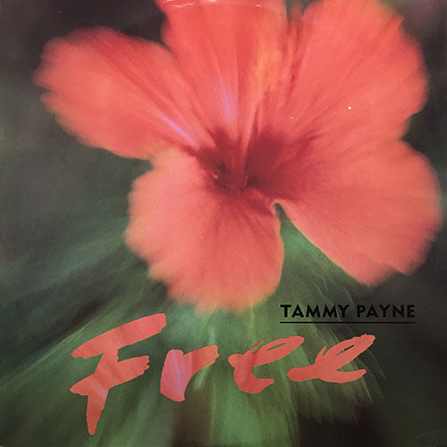 TAMMY PAYNE // FREE (3VER)