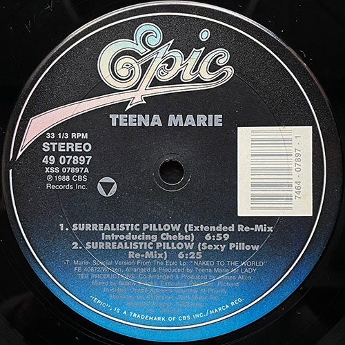 TEENA MARIE // SURREALISTIC PILLOW (4VER)