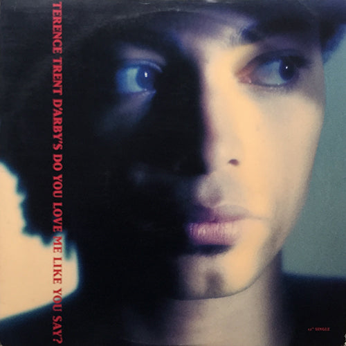 TERENCE TRENT D'ARBY // DO YOU LOVE ME LIKE YOU SAY? (5VER)
