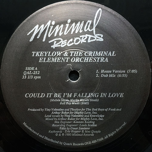 TKEYLOW & THE CRIMINAL ELEMENT ORCHESTRA // COULD IT BE I'M FALLING IN LOVE (5VER)