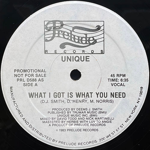 UNIQUE // WHAT I GOT IS WHAT YOU NEED (6:35) / (DUB) (5:54)