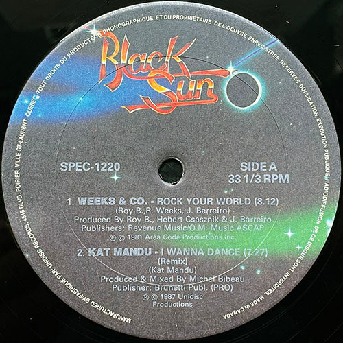V.A. (WEEKS & CO. / KAT MANDU / J.R. FUNK / SUZY Q) // ROCK YOUR WORLD (8:12) / I WANNA DANCE (REMIX) (7:27) / FEEL GOOD PARTY TIME (6:47) / GET ON UP DO IT AGAIN (6:09)