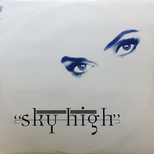 VOICES presents INDIVIDUAL // SKY HIGH (5VER)