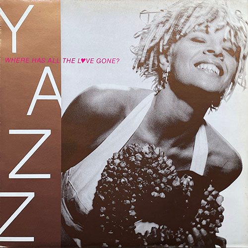 YAZZ // WHERE HAS ALL THE LOVE GONE (GHETTO MIX) / STAND UP FOR YOUR LOVE RIGHTS (US EXTENDED REMIX)