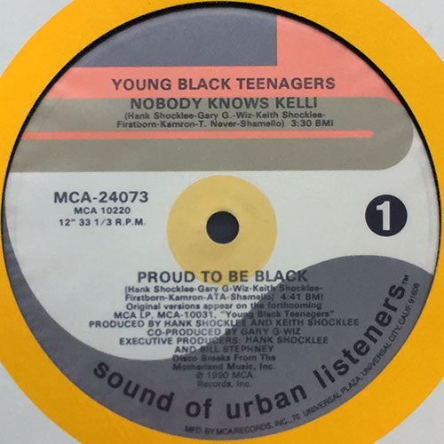 YOUNG BLACK TEENAGERS // NOBODY KNOWS KELLI / PROUD TO BE BLACK / VERSION 1 / VERSION 2