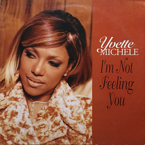 YVETTE MICHELE // I'M NOT FEELING YOU (5VER)