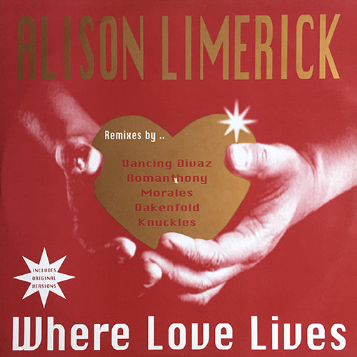 ALISON LIMERICK // WHERE LOVE LIVES (1996 REMIX) (4VER)