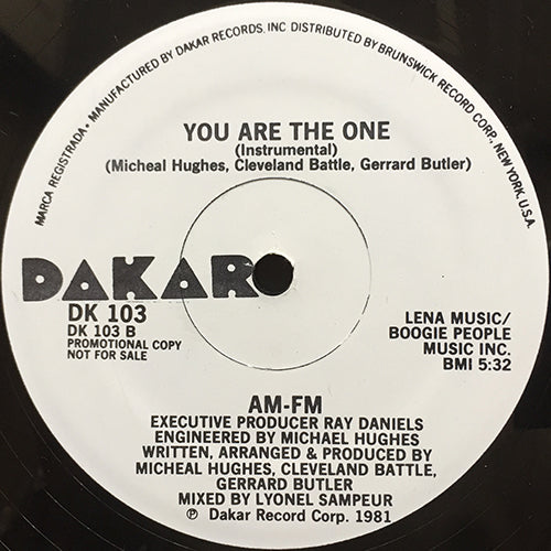 AM-FM // YOU ARE THE ONE (5:52) / INST (5:32)