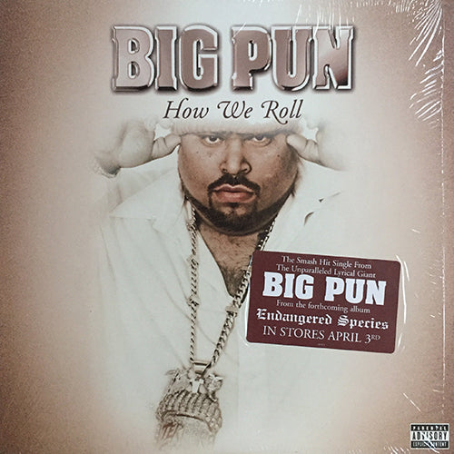 BIG PUN feat. ASHANTI // HOW WE ROLL (4VER)