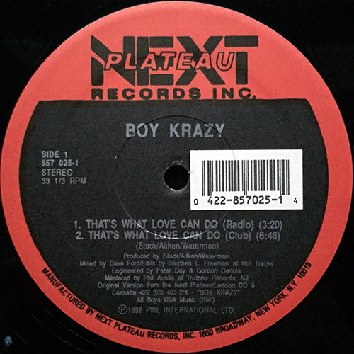 BOY KRAZY // THAT'S WHAT LOVE CAN DO (3VER) / ONE THING LEADS TO ANOTHER