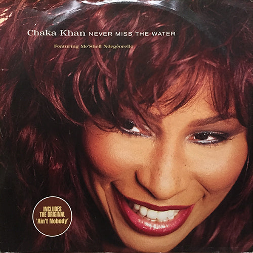 CHAKA KHAN feat. ME'SHELL NDEGEOCELLO // NEVER MISS THE WATER (FRANKIE KNUCKLES REMIX) (3VER) / AIN'T NOBODY
