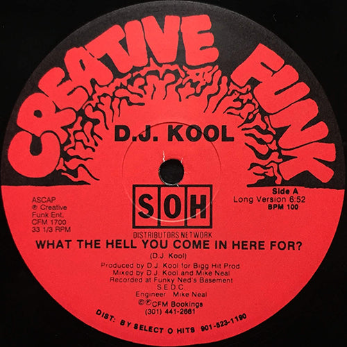 DJ KOOL // WHAT THE HELL YOU COME IN HERE FOR? (6VER)
