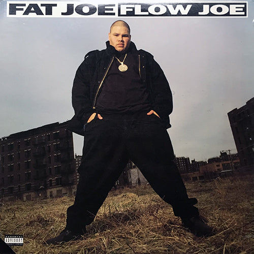FAT JOE // FLOW JOE (3VER) / LIVIN' FAT