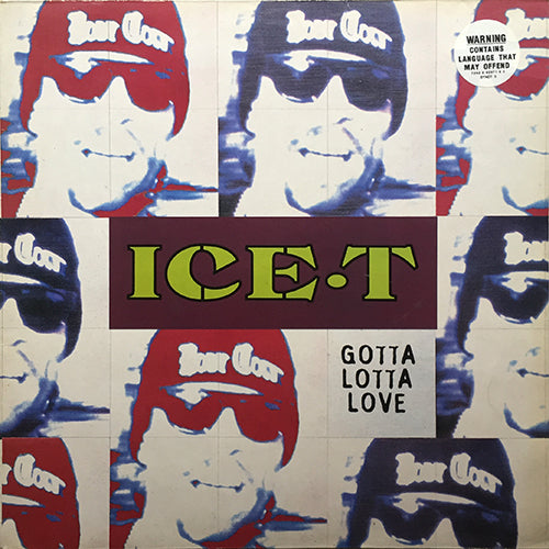 ICE-T // GOTTA LOTTA LOVE (4VER)