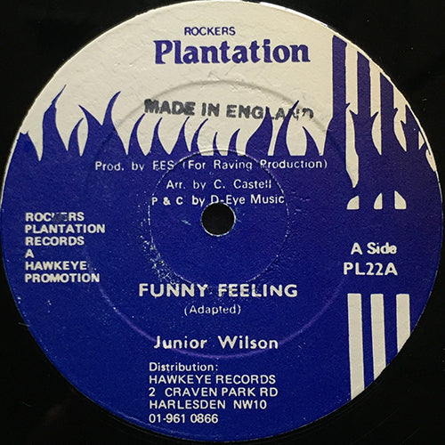 JUNIOR WILSON / ALPINE RYDIM SECTION // FUNNY FEELING / FUNNY DUB-WISE