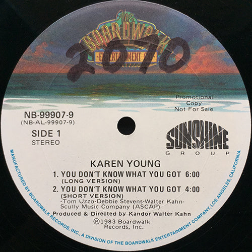 KAREN YOUNG // YOU DON'T KNOW WHAT YOU GOT (LONG) (6:00) / (SHORT) (4:00) / (PARTY MIX) (8:00) / (INST) (4:30)