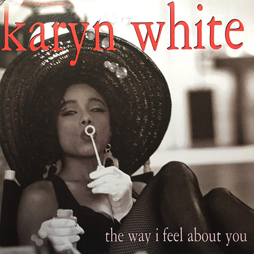 KARYN WHITE // THE WAY I FEEL ABOUT YOU (5VER)