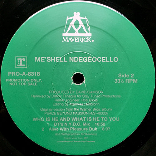 ME'SHELL NDEGEOCELLO // WHO IS HE AND WHAT IS HE TO YOU (DANNY TENAGLIA REMIX) (5VER)