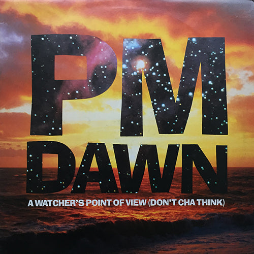 PM DAWN // A WATCHER'S POINT OF VIEW (DON'T CHA THINK) (3VER) / TWISTED MELLOW