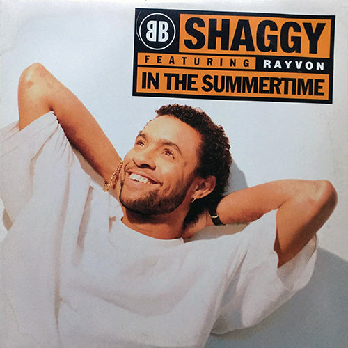 SHAGGY feat. RAYVON // IN THE SUMMERTIME (3VER) / BOOMBASTIC (STING RMEIX)