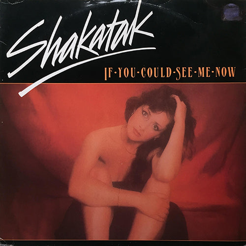 SHAKATAK // IF YOU COULD SEE ME NOW / FLY THE WIND (REMIX)