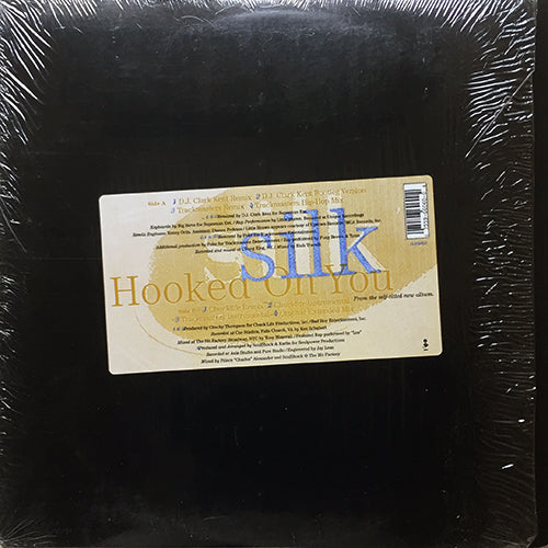 SILK // HOOKED ON YOU (8VER)