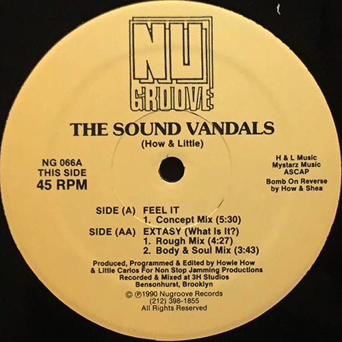 SOUND VANDALS // FEEL IT / EXTASY (WHAT IS IT?) (2VER)
