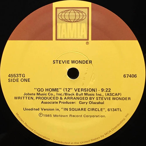 STEVIE WONDER // GO HOME (9:22) / INST (8:36)